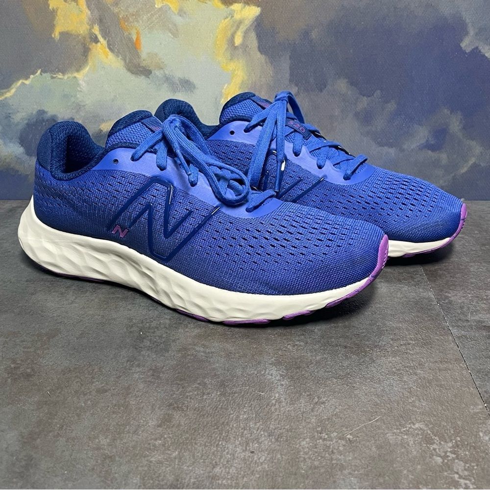 New Balance 520v8 Women's Blue Sneakers Size 9.5B